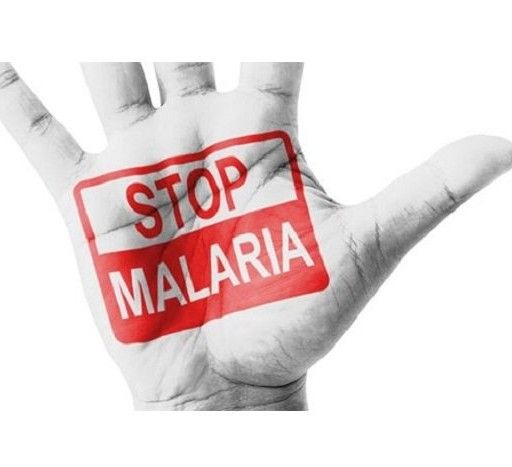 Who should start the fight against Malaria?